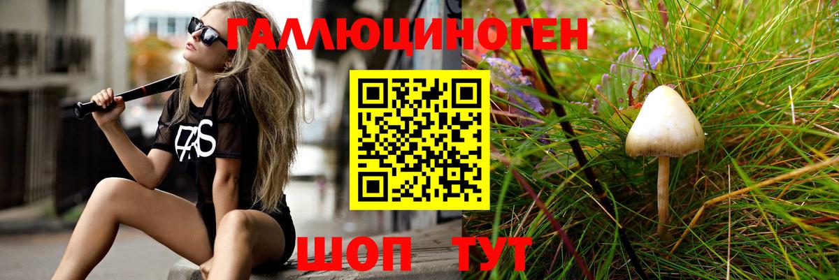 Галлюциногенные грибы Psilocybe  Вход с VPN  Коммунар 